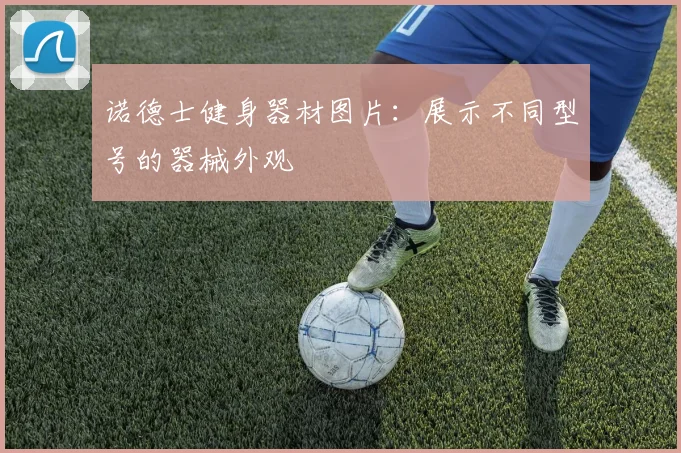 诺德士健身器材图片：展示不同型号的器械外观